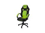 ELITE Gaming-Stuhl EXODUS, Memory-Schaum, extra hohe Rückenlehne, Wippmechanik, Armpolster, MG100 (Schwarz/Neongrün)