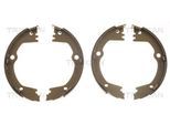 TRISCAN Bremsbackensatz, Feststellbremse 810010630 für KIA HYUNDAI