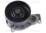 TRISCAN Wasserpumpe 860011049 für MINI
