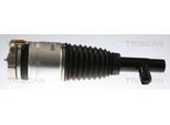 TRISCAN Luftfederbein 872027102 für Volvo