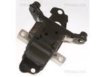 TRISCAN Lagerung, Motor 850529139 für VW
