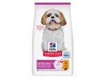 Hill's Science Plan Trockenfutter Hund, Small & Mini Mature Adult, mit Huhn 2x3 kg