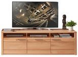 TV-Element Arvid Kernbuche
