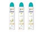 Go Fresh Pear & Aloe Vera Deo Spray 250 ml