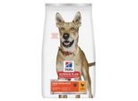 Hill's Science Plan Trockenfutter Hund, Performance, Adult, mit Huhn 2x14 kg