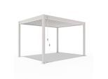 Gardenson , Metall , 300x255x400 cm , TÜV-geprüft , Freizeit im Garten, Gartenbauten, Pergola