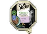 Sheba Natures Collection in Sauce Lachs mit Erbsen 22x85 g