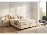 Boxspringbett JOCKENHÖFER GRUPPE "Capello, 7-Zonen-TTFK-Matratze", beige (beige 412, 07), B:171cm L:212cm, Bezug Bett: Flachgewebe (100% Polyester);Topper und Matratzenspiegel: 100% Polyester, Komplettbetten, Boxspringbett, KS-Topper, 160x200 cm oder 180x200 cm, verschiedene Härtegrade wählbar