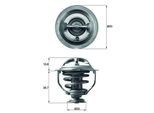 MAHLE Thermostat, Kühlmittel tx11795d für CUPRA