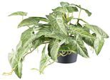 Kunstpflanze CREATIV GREEN "Alocasia", grün (grüncreme), H:40cm Ø:24cm, Kunststoff, Kunstpflanzen, Kunstpflanze, mit naturgetreuem Blattwerk