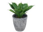 Kunstpflanze CREATIV GREEN "Echeveria", grün, H:25cm, Kunststoff, Kunstpflanzen, Kunstpflanze, mit naturgetreuem Blattwerk