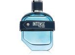 Sapil Intense Eau de Toilette voor Mannen 100 ml