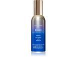 Bath & Body Works Ocean huisparfum 42.5 g