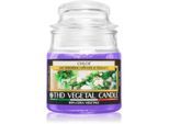 THD Italian Luxury Chloe geurkaars 100 g
