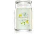 Yankee Candle Midnight Jasmine geurkaars I. Signature 567 g