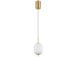 Led-hängeleuchte 15217h 13,5/220 cm