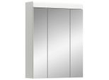 Spiegelschrank Scout 60/79/18 cm