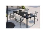 Gartentisch Hanoi Anthrazit Aluminium 204/100/74 cm Metall Anthrazit rechteckig