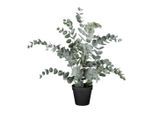 Kunstpflanze Eucalypthus Ii Grau/grün Ca. 53cm Eukalyptus 53 cm