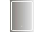 Leuchtspiegel Stefanie 1 Inkl. Led-Beleuchtung 60/80/3,5 cm ,