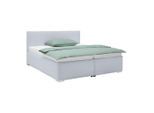 Polsterbett Lesia Graublau Ca. 200x200cm 200/200 cm Graublau