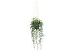 Kunstpflanze Senecio Herreianus Ii In Grün 55 cm