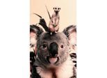 Bild Posterjunkie-21-70x118-Dbw-Mko