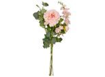 Pfingstrose Peonie-mix-bund Rosa Ca. 80cm 80 cm