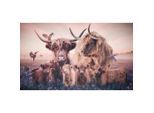 Bild Posterjunkie-15-118x70-Rvs-Mko