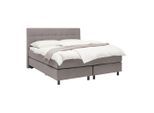 Boxspringbett Primo Dunkelgrau Ca. 160x200cm 160/200 cm Dunkelgrau