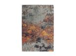 Flachwebeteppich Blaze 400 Multi 115/170 cm