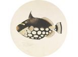 Metallbild Fish Black
