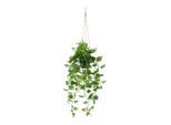 Kunstpflanze Philodendronhänger In Grün Philodendron 75 cm