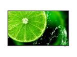 NEC MultiSync E438 Digital Signage Display 108 cm 42,5 Zoll