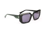 Ana Hickmann Sunglasses HI9229 G22 54