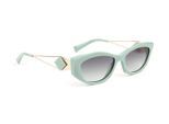 Ana Hickmann Sunglasses HI9217 D01 55