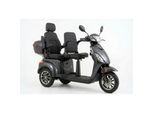 ECONELO E-Seniorenmobil Billy 2.0, Lithium-Akku, 3-Rad, 60V, 1000 Watt, groß Sitz, Grau
