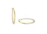 Paar Creolen AMOR "2013606", gold (goldfarben), Ohrringe, Damen, Gelbgold 375