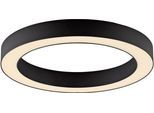 NEUHAUS PURE LED Deckenleuchte "PURE Lines Round", schwarz (graphite), 1, Ø 35cm H: 3,9cm, 1 Stk., Leuchten, Stufenlos dimmbar über Fernbedienung, CCT, LED Deckenleuchte