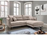Ecksofa HOME AFFAIRE "Lazio, 255 x 180 cm, modern und bequem", beige, B:255cm H:94cm T:180cm, 100% Polyester, Sofas, Ecksofa, Velours, Kissen: Paradiso, L-Form, inkl. Rücken- und Zierkissen