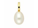Kettenanhänger ADELIA´S "Perlenanhänger 585 Gold ( 14K )", weiß (gold), Schmuckanhänger, Damen, Gold, Kettenanhänger, Goldanhänger Perle