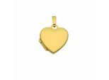 Medallionanhänger ADELIA´S "Medaillon 333 Gold ( 8K )", gold, Schmuckanhänger, Damen, Gold, Goldanhänger