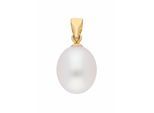 Kettenanhänger ADELIA´S "Perlenanhänger 585 Gold ( 14K )", gold, Schmuckanhänger, Damen, Gold, Kettenanhänger, Goldanhänger Perle