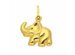 Kettenanhänger ADELIA´S "Anhänger Elefant 333 Gold ( 8K )", gold, Schmuckanhänger, Mädchen, Gold, Kettenanhänger, Goldanhänger Elefant