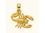 Sternzeichenanhänger ADELIA´S "Sternzeichen Anhänger Skorpion 585 Gold ( 14K )", gold, Schmuckanhänger, Damen, Schütze, Gold, Goldanhänger Skorpion