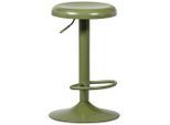 Livetastic , Grün , Metall , 39x81x39 cm , mit Griff ,