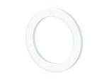 Riegler Dichtring aus PTFE, für Gewinde G 1/2, VPE 100 Stk. (258.44)