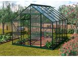 Gewächshaus VITAVIA "Merkur 8300", grün, B:254cm T:317cm, Gewächshäuser, Gewächshaus