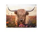 Poster REINDERS "Spring Highlander", beige (farbe bild(er): beige), B:80cm H:60cm T:0,1cm, Bilder, Poster, Garten - Schottischer Hochländer - Beige - Leinwand - Tiere - 80x60 cm