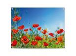 Poster REINDERS "Sommerblumen", rot (farbe bild(er): rot), B:80cm H:60cm T:0,1cm, Leinwand, Bilder, Poster, Outdoor für Garten oder Balkon